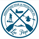 Eurasian Water-Milfoil: A Silent Threat to Lake Pope